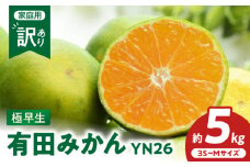 ZT6404_有田みかん極早生　YN26　訳あり　ご家庭用　約5kg