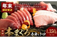 AZ6020_nm_【年末限定発送】本マグロ (養殖) 赤身 ＆ トロ セット 1350g