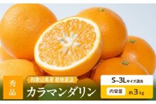 ZE6500_【2026年先行予約】和歌山県産 カラマンダリン 3kg 秀品