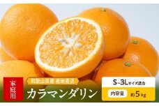 ZE6503_【2026年先行予約】和歌山県産　カラマンダリン　5kg　家庭用