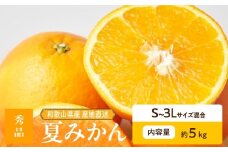 ZE6505_【2026年先行予約】和歌山県産　夏みかん　5kg　秀品
