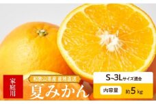 ZE6507_【2026年先行予約】和歌山県産　夏みかん　5kg　家庭用