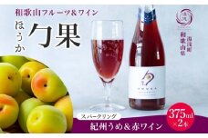 KG1007_ワインカクテル スパークリング 勹果 ほうか 紀州うめ＆赤ワイン 375ml 2本 湯浅ワイナリー