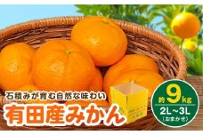 BT6016_和歌山県有田産 みかん 9kg 3L～2Lサイズ（おまかせ）