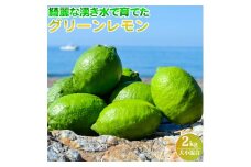 EA6042n_綺麗な湧き水で育てた グリーンレモン 2kg (大小混合)