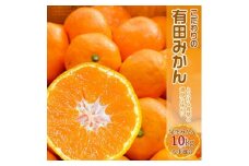 EA6031_濃厚な味わいのこだわり 有田みかん 10kg (早生みかん・大小混合)