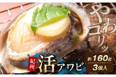 YG1001_ 紀州 活アワビ 内容量 約 160g アワビ やわコリ食感 鮮度 抜群 貝の王様 肉厚 絶品珍味 国産 冷蔵 さしみ 肝醤油 串揚げ ステーキ 天ぷら 照り焼き 蒸し料理 コリコリ感 やわらか食感 お取り寄せ 和歌山県 湯浅町 送料無料
