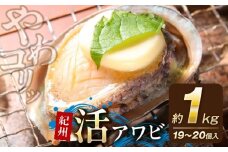 YG1005_ 紀州 活アワビ 内容量 約 1000g アワビ やわコリ食感 鮮度 抜群 貝の王様 肉厚 絶品珍味 国産 冷蔵 さしみ 肝醤油 串揚げ ステーキ 天ぷら 照り焼き 蒸し料理 コリコリ感 やわらか食感 お取り寄せ 和歌山県 湯浅町 送料無料
