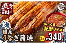 G7313_【ふるさと納税】【土用の丑の日】大型サイズ ふっくら柔らか 国産うなぎ蒲焼き 2尾 化粧箱入 ＜10月23日までにお届け＞