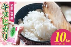BB6221_【先行受付】 和歌山県産キヌヒカリ 10kg【きぬひかり 送料無料 白米 上白米 国産米 キヌヒカリ お米ギフト 米 精米】