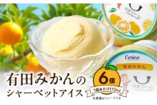 ZE6512_ 有田みかんシャーベットアイス 110ml 内容量 6個 セット 和歌山県産 有田みかん 果汁 使用 爽やか シャーベット アイス フルーツ デザート 柑橘 お取り寄せ 和歌山県 湯浅町 送料無料