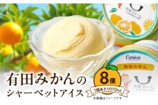 ZE6513_ 有田みかんシャーベットアイス 110ml 内容量 8個 セット 和歌山県産 有田みかん 果汁 使用 爽やか シャーベット アイス フルーツ デザート 柑橘 お取り寄せ 和歌山県 湯浅町 送料無料