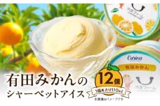 ZE6514_ 有田みかんシャーベットアイス 110ml 内容量 12個 セット 和歌山県産 有田みかん 果汁 使用 爽やか シャーベット アイス フルーツ デザート 柑橘 お取り寄せ 和歌山県 湯浅町 送料無料