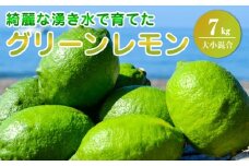 EA6113_ グリーンレモン 内容量 7kg 大小混合 レモン 柑橘 綺麗 湧き水 フレッシュ 爽やか 酸味 ジューシー 香り こだわり 料理 お酒に合う レモンサワー 炭酸水 フルーツ お取り寄せ 和歌山県 湯浅町 送料無料