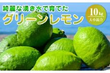 EA6114_ グリーンレモン 内容量 10kg 大小混合 レモン 柑橘 綺麗 湧き水 フレッシュ 爽やか 酸味 ジューシー 香り こだわり 料理 お酒に合う レモンサワー 炭酸水 フルーツ お取り寄せ 和歌山県 湯浅町 送料無料