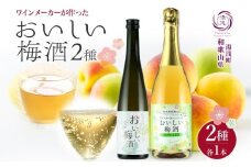 KG1009_ 梅酒 2種 セット 湯浅ワイナリー おいしい梅酒 500ml おいしい梅酒スパークリング 750ml 各1本 計 2本 甘口 12度 肉厚 紀州南高梅 隠し味 白ワイン オンザロック ソーダ割り お酒 酒 リキュール 果実酒 お取り寄せ 和歌山県 湯浅町 送料無料
