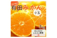 DI6019n_【ふるさと納税高評価★4.72 訳あり 有田みかん  3kg  小玉 SS ~SSS サイズ 濃厚 香り フルーティー 味わい 柑橘の王様 有田 みかん 近年人気急上昇 甘い 旨味 国産 柑橘 果物 果実 フルーツ デザート お取り寄せ 和歌山県 湯浅町 送料無料