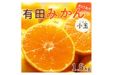 DI6045_【ふるさと納税】 高評価★4.72 訳あり 有田みかん 1.5kg 小玉 SS ~SSS サイズ 濃厚 香り フルーティー 味わい 柑橘の王様 有田 みかん 近年人気急上昇 甘い 旨味 国産 柑橘 果物 果実 フルーツ デザート お取り寄せ 和歌山県 湯浅町 送料無料