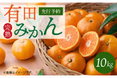G7047_ 【2025年 先行予約】 完熟 有田みかん 約 10kg 厳選 美味しい 味わい コク 深い 酸味 甘み 濃厚 完熟みかん ミネラル 果物 果実 柑橘 フルーツ みかん 温州みかん お取り寄せ お取り寄せフルーツ 産地直送 和歌山県 湯浅町 紀州有田産 送料無料