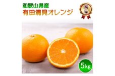 DZ6031_【2026年先行予約】有田 清見 オレンジ 秀品 S～2Lサイズ 大きさお任せ 約5kg