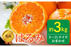 DZ6109_【2026年先行予約】秀品 はるみ 和歌山 有田 S～2Lサイズ 大きさお任せ 約3kg