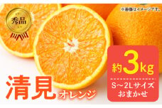 DZ6103_【ふるさと納税】【2026年先行予約】秀品 きよみ 清見オレンジ 和歌山 有田 S～2Lサイズ 大きさお任せ 約3kg