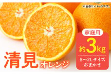 DZ6104_【ふるさと納税】【2026年先行予約】ご家庭用 きよみ 清見オレンジ 和歌山 有田 S～2Lサイズ 大きさお任せ 約3kg