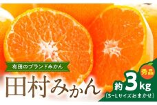 ZD7030_ 田村みかん 約 3kg S ～ L サイズおまかせ 秀品 甘味と酸味のバランス 濃厚 味 有田みかん 田村地区産 ブランド ミカン 高級みかん 贈答用 柑橘 フルーツ 果物 果実 デザート 国産 お取り寄せ 和歌山県 湯浅町 送料無料