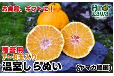 【12月発送】 温室 不知火 （ しらぬい ） 3kg（7〜8玉）化粧箱入 / デコポン ハウス栽培 甘い 和歌山 柑橘 お歳暮 ※11月下旬〜12月下旬に順次発送 【ymk006-p-3】