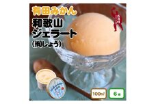 和歌山ジェラートセット  / アイス ジェラート フルーツジェラート みかん 旬 蜜柑 ミカン 柑橘 果物 フルーツ 和歌山県 広川町【sho105-j-100x6】