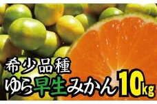 由良早生 みかん 家庭用 10kg / ゆら早生 温州みかん 極早生 甘い 家庭用 和歌山 柑橘 ※10月上旬～10月下旬順次発送 ※北海道・沖縄・離島への配送不可 【nuk003-yura-10B】