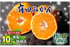 有田 みかん 大玉3L以上 10kg 光センサー / 温州みかん 有田みかん 甘い 和歌山 柑橘 ※11月中旬～12月下旬に順次発送 ※北海道・沖縄・離島地域は発送不可 【nuk004-l-10C】