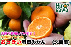 おっきい 有田 みかん 7kg 久幸園 / 温州みかん 有田みかん 甘い 大玉 和歌山 柑橘 ※12月上旬〜順次発送 【hsk004-l-7A】