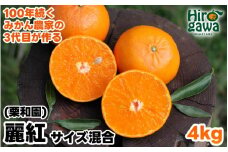 麗紅 （ れいこう ） 4kg / オレンジ 甘い 和歌山 有田 柑橘 ※2月中旬〜3月下旬に順次発送 【krw012-r-4】