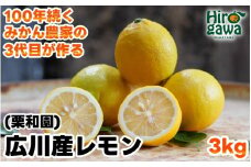 レモン 3kg 国産 / 和歌山 柑橘 ※2月上旬〜3月中旬に順次発送 【krw040-r-3】