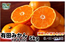 有田 みかん 5kg 秀品 / 温州みかん 有田みかん 甘い 和歌山 柑橘 ※11月下旬～1月中旬に順次発送 【sml004-r-5B】