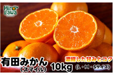有田 みかん 10kg 秀品 / 温州みかん 有田みかん 甘い 和歌山 柑橘 ※11月下旬～1月中旬に順次発送 【sml004-r-10A】
