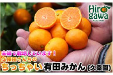 ちっちゃい 有田 みかん 5kg 久幸園 / 温州みかん 有田みかん 甘い 小玉 和歌山 柑橘 ※11月下旬〜順次発送予定【hsk004-s-5A】