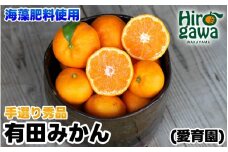 有田 みかん 海藻施用 手選果 5kg / 温州みかん 有田みかん 甘い 柑橘 和歌山 ※11月中旬～翌年1月中旬頃に順次発送予定 【aii004-r-5A】