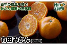 有田 みかん 3.5kg 栗和園 / 温州みかん 有田みかん 甘い 和歌山 柑橘 ※11月上旬～12月下旬に順次発送 【krw004-r-3d5】