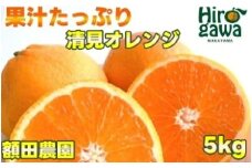 清見 オレンジ 5kg サイズ混合 光センサー / 清見オレンジ 清見タンゴール きよみ 清美 甘い 和歌山 柑橘※3月上旬～下旬に順次発送予定 ※北海道・沖縄・離島への配送不可 【nuk011-r-5】