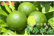 頑固オヤジの 青切 みかん 3kg / 青みかん 酢みかん 訳あり 家庭用 和歌山 柑橘 ※7月下旬～9月中旬に順次発送予定 【krf001-c-3】