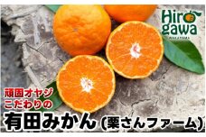 頑固オヤジの 有田 みかん 3kg 贈答用 / 温州みかん 有田みかん 甘い 贈答 和歌山 柑橘 ※11月中旬～1月上旬に順次発送【krf004-p-3A】