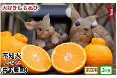 不知火 ( しらぬい ） 3kg 家庭用  (大好きしらぬい)　/ デコポン 甘い 和歌山 有田 柑橘  産地直送 農家直送 手選果 ※2月中旬～3月下旬に順次発送予定 【nkh010-c-3A】