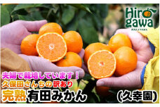 完熟 有田 みかん 訳あり 10kg 久幸園 / 温州みかん 有田みかん 甘い 家庭用 和歌山 柑橘 ※11～12月順次発送 【hsk004-c-10C】