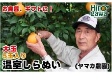 【12月発送】 温室 不知火 （ しらぬい ） 5玉入 / デコポン ハウス栽培 甘い 和歌山 柑橘 お歳暮 ※11月下旬〜12月下旬に順次発送【ymk006-p-5A】