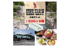 広川町施設利用券（500円×6枚）※着日指定不可 旅行 南紀 温泉 食事券 宿泊券 【htr911-500x6】