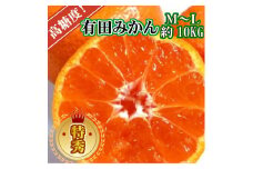 高糖度 有田みかん 特秀品 10kg M～Lサイズ ※10月上旬～12月下旬頃発送予定 【ngt004-p-10ml】