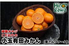 頑固オヤジの 有田 みかん 小玉 5kg / 温州みかん 有田みかん 甘い 小粒 ちっちゃい 家庭用 訳あり 和歌山 柑橘 ※11月中旬より順次発送 【krf004-s-5B】