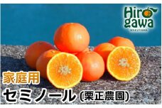 タカじいの セミノール 家庭用 5kg サイズおまかせ M～2L / 訳あり 甘い 和歌山 有田 柑橘 ※4月中旬〜5月に順次発送【krs016-c-5A】